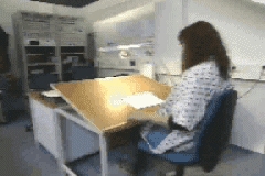 VIDEOS SWF GIF PREVENCION  ERGONOMIA (10)